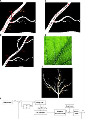 Navigation and closed-loop control of magnetic microrobot in plant vein mimic environment